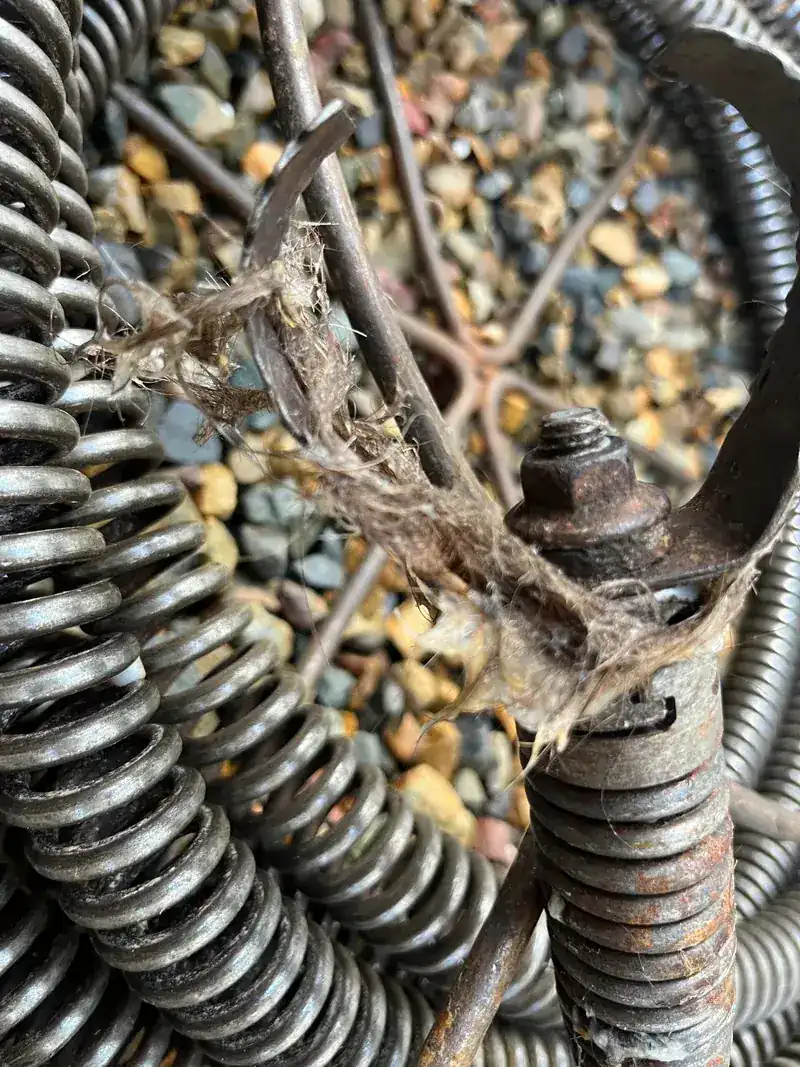 Tree roots wrapped around the cutting head of a drain cleaning machine after being pulled from a blocked drain