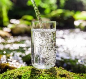 Filtered Water In Wellington Point